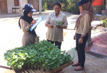 PEMBAGIAN BIBIT SAYURAN OLEH KKN UMY PEDUKUHAN NGENEP