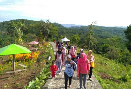 Paud Teratai Terong II Belajar sambil Wisata di Gunung Mungker