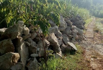 Dropping Batu Belah Untuk Talud Pedukuhan Ngenep